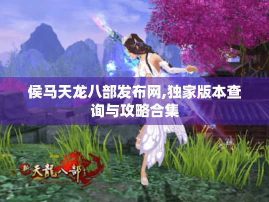 侯马天龙八部发布网,独家版本查询与攻略合集
