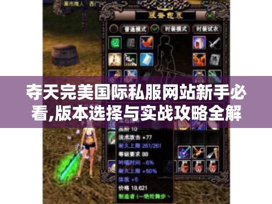 夺天完美国际私服网站新手必看,版本选择与实战攻略全解析 夺天完美国际私服网站新手必看,版本选择与实战攻略全解析