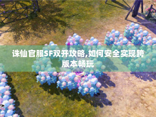 诛仙官服SF双开攻略,如何安全实现跨版本畅玩 诛仙官服SF双开攻略,如何安全实现跨版本畅玩