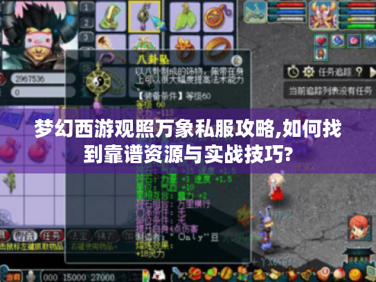 梦幻西游观照万象私服攻略,如何找到靠谱资源与实战技巧?