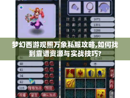 梦幻西游观照万象私服攻略,如何找到靠谱资源与实战技巧?
