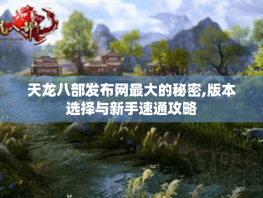 天龙八部发布网最大的秘密,版本选择与新手速通攻略 天龙八部发布网最大的秘密,版本选择与新手速通攻略