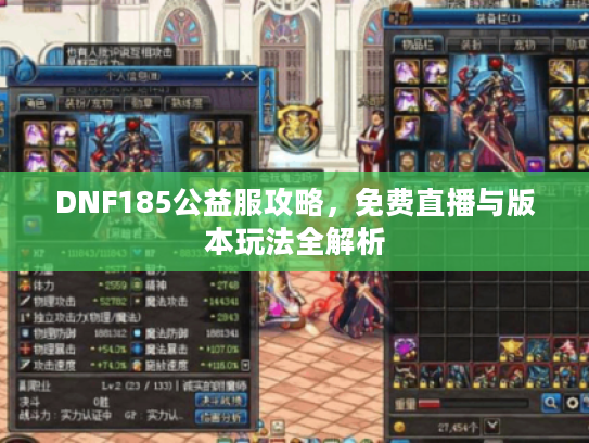 DNF185公益服攻略，免费直播与版本玩法全解析