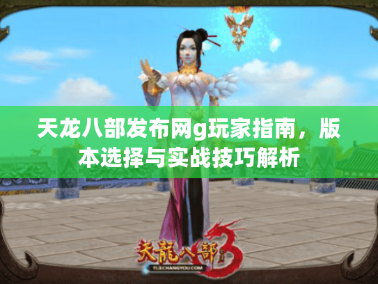 天龙八部发布网g玩家指南，版本选择与实战技巧解析