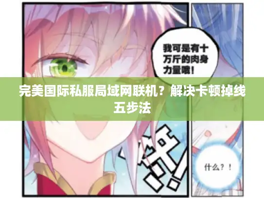 完美国际私服局域网联机?解决卡顿掉线五步法 完美国际私服局域网联机?解决卡顿掉线五步法