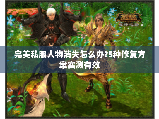 完美私服人物消失怎么办?5种修复方案实测有效 完美私服人物消失怎么办?5种修复方案实测有效