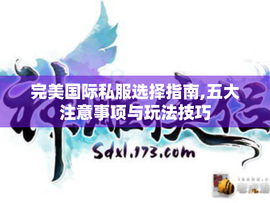 完美国际私服选择指南,五大注意事项与玩法技巧 完美国际私服选择指南,五大注意事项与玩法技巧