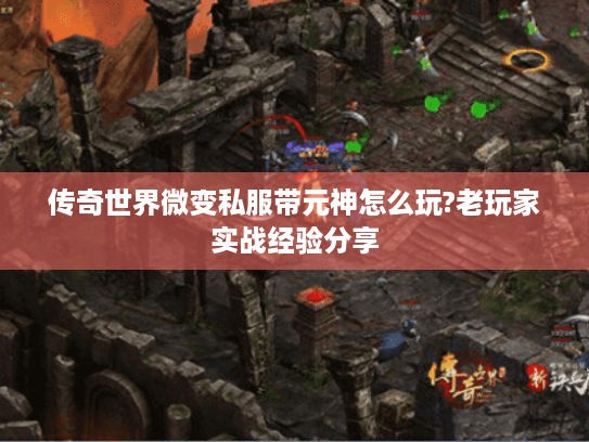 传奇世界微变私服带元神怎么玩?老玩家实战经验分享 传奇世界微变私服带元神怎么玩?老玩家实战经验分享
