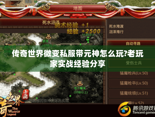 传奇世界微变私服带元神怎么玩?老玩家实战经验分享 传奇世界微变私服带元神怎么玩?老玩家实战经验分享