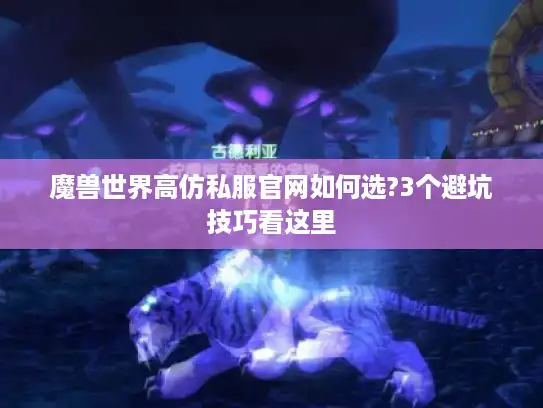 魔兽世界高仿私服官网如何选?3个避坑技巧看这里 魔兽世界高仿私服官网如何选?3个避坑技巧看这里