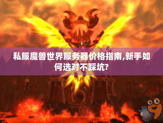 私服魔兽世界服务器价格指南,新手如何选对不踩坑? 私服魔兽世界服务器价格指南,新手如何选对不踩坑?