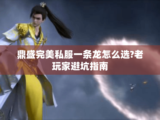 鼎盛完美私服一条龙怎么选?老玩家避坑指南