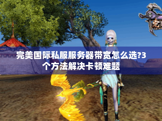 完美国际私服服务器带宽怎么选?3个方法解决卡顿难题