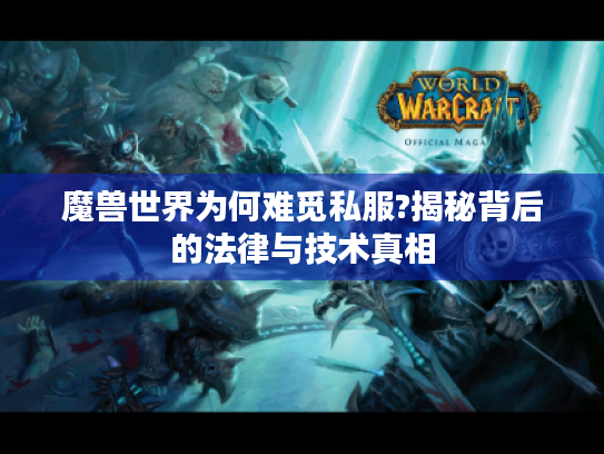 魔兽世界为何难觅私服?揭秘背后的法律与技术真相 魔兽世界为何难觅私服?揭秘背后的法律与技术真相