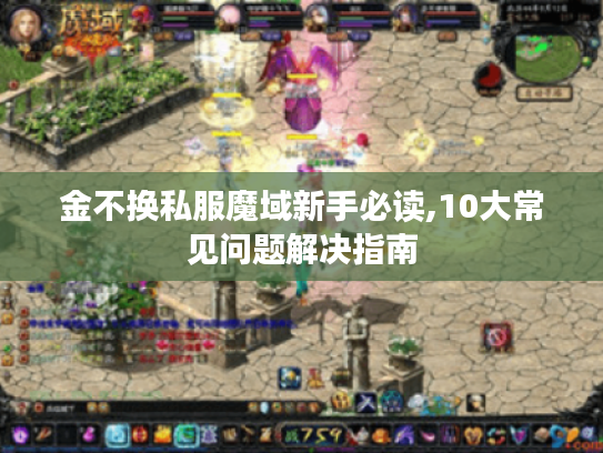 金不换私服魔域新手必读,10大常见问题解决指南