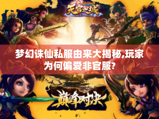 梦幻诛仙私服由来大揭秘,玩家为何偏爱非官服?