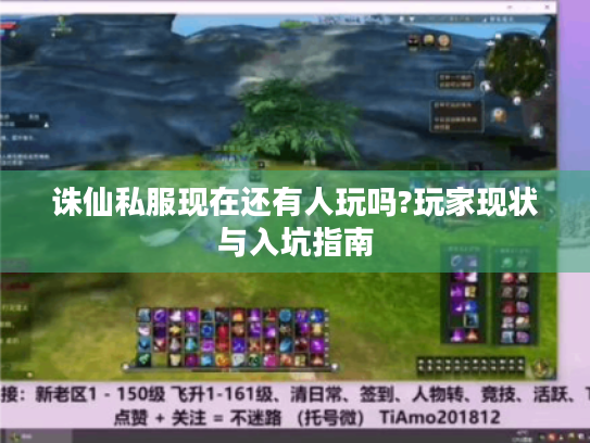 诛仙私服现在还有人玩吗?玩家现状与入坑指南