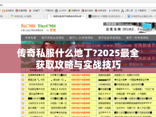 传奇私服什么地丁?2025最全获取攻略与实战技巧 传奇私服什么地丁?2025最全获取攻略与实战技巧