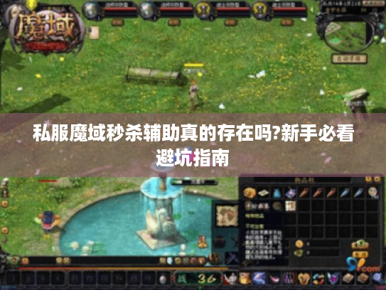 私服魔域秒杀辅助真的存在吗?新手必看避坑指南