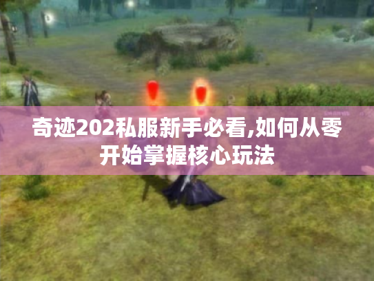 奇迹202私服新手必看,如何从零开始掌握核心玩法 奇迹202私服新手必看,如何从零开始掌握核心玩法