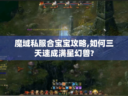 魔域私服合宝宝攻略,如何三天速成满星幻兽? 魔域私服合宝宝攻略,如何三天速成满星幻兽?