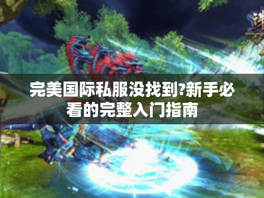 完美国际私服没找到?新手必看的完整入门指南
