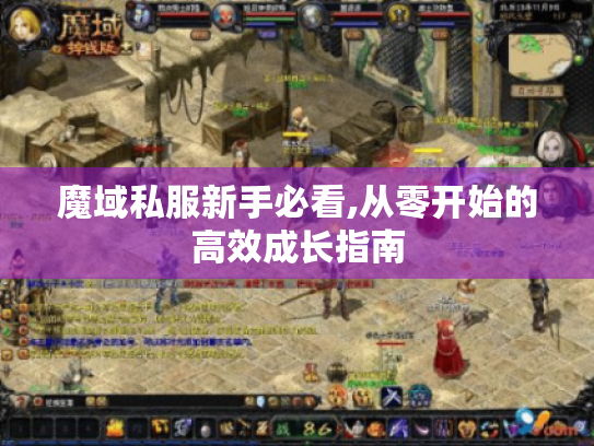 魔域私服新手必看,从零开始的高效成长指南 魔域私服新手必看,从零开始的高效成长指南