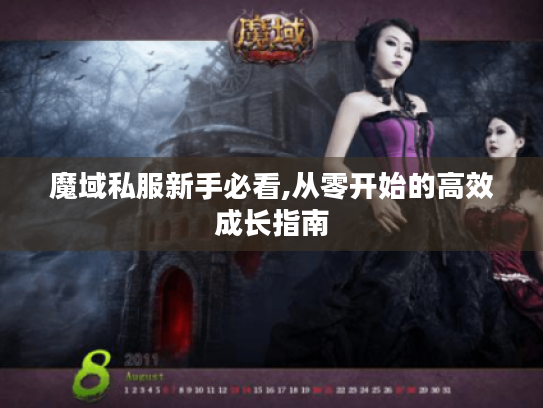 魔域私服新手必看,从零开始的高效成长指南 魔域私服新手必看,从零开始的高效成长指南