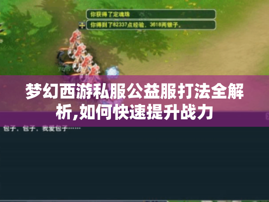 梦幻西游私服公益服打法全解析,如何快速提升战力 梦幻西游私服公益服打法全解析,如何快速提升战力