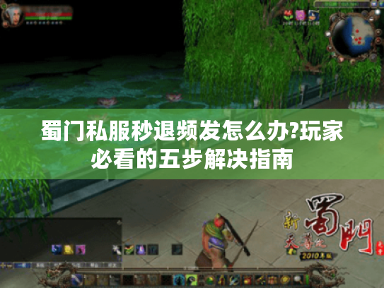 蜀门私服秒退频发怎么办?玩家必看的五步解决指南