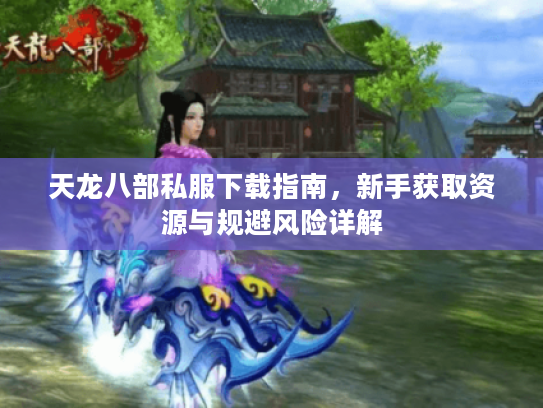 天龙八部私服下载指南，新手获取资源与规避风险详解