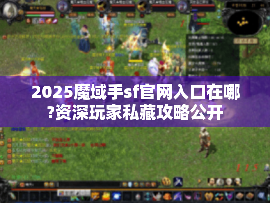 2025魔域手sf官网入口在哪?资深玩家私藏攻略公开