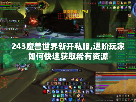 243魔兽世界新开私服,进阶玩家如何快速获取稀有资源