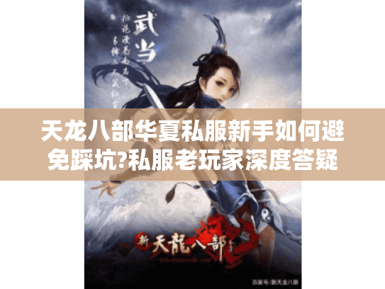 天龙八部华夏私服新手如何避免踩坑?私服老玩家深度答疑