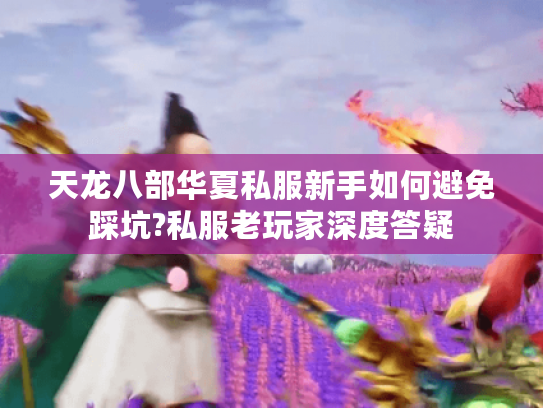 天龙八部华夏私服新手如何避免踩坑?私服老玩家深度答疑