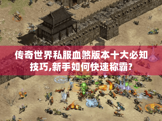 传奇世界私服血煞版本十大必知技巧,新手如何快速称霸? 传奇世界私服血煞版本十大必知技巧,新手如何快速称霸?