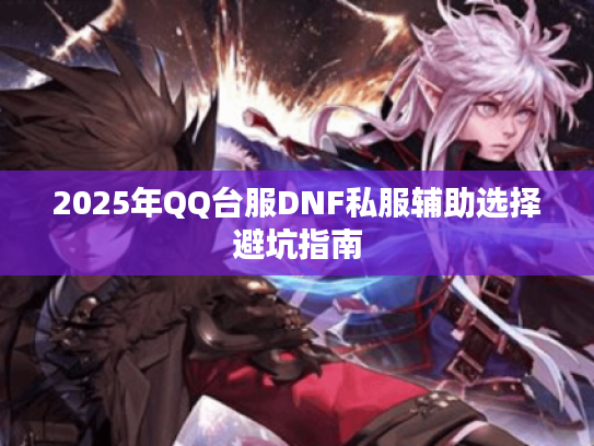 2025年QQ台服DNF私服辅助选择避坑指南