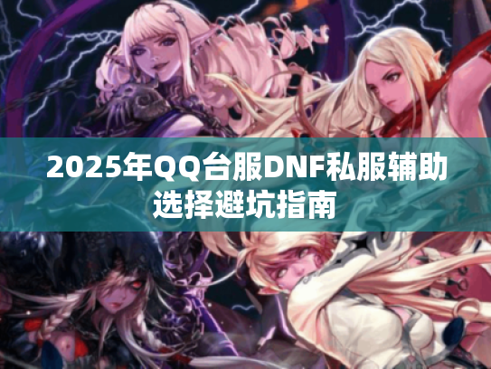 2025年QQ台服DNF私服辅助选择避坑指南