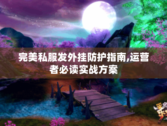 完美私服发外挂防护指南,运营者必读实战方案
