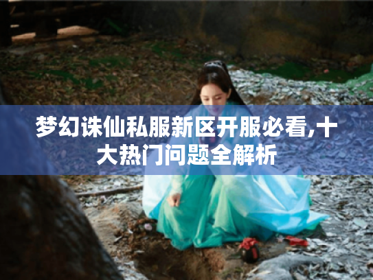 梦幻诛仙私服新区开服必看,十大热门问题全解析 梦幻诛仙私服新区开服必看,十大热门问题全解析
