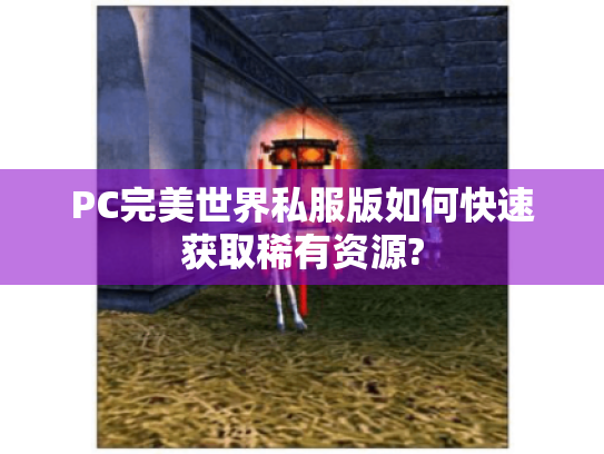PC完美世界私服版如何快速获取稀有资源?