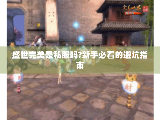 盛世完美是私服吗?新手必看的避坑指南 盛世完美是私服吗?新手必看的避坑指南