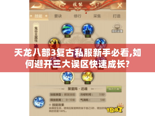 天龙八部3复古私服新手必看,如何避开三大误区快速成长? 天龙八部3复古私服新手必看,如何避开三大误区快速成长?