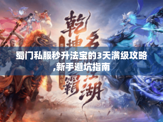 蜀门私服秒升法宝的3天满级攻略,新手避坑指南 蜀门私服秒升法宝的3天满级攻略,新手避坑指南