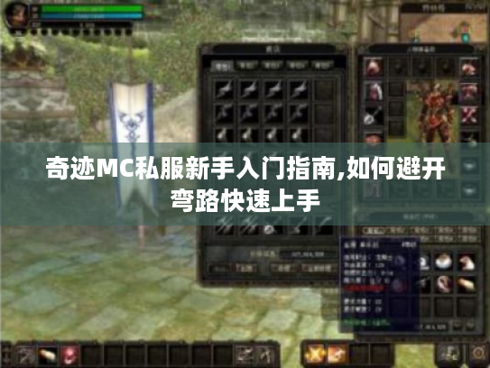 奇迹MC私服新手入门指南,如何避开弯路快速上手 奇迹MC私服新手入门指南,如何避开弯路快速上手