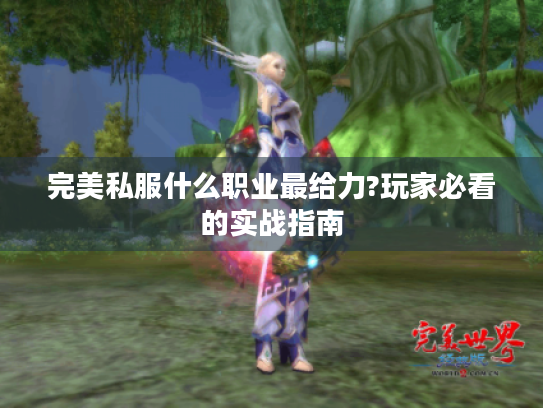 完美私服什么职业最给力?玩家必看的实战指南