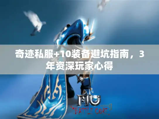 奇迹私服+10装备避坑指南，3年资深玩家心得
