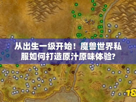 从出生一级开始！魔兽世界私服如何打造原汁原味体验?