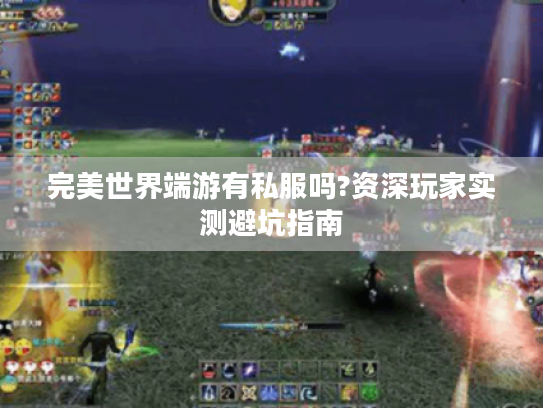 完美世界端游有私服吗?资深玩家实测避坑指南 完美世界端游有私服吗?资深玩家实测避坑指南
