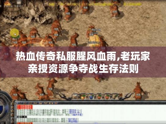 热血传奇私服腥风血雨,老玩家亲授资源争夺战生存法则 热血传奇私服腥风血雨,老玩家亲授资源争夺战生存法则